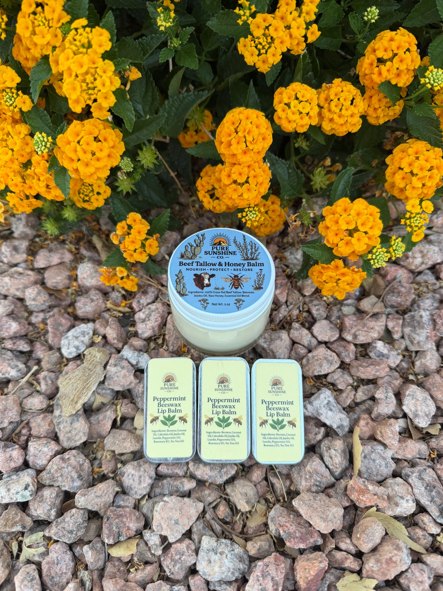 * New* Beef Tallow & Honey Balm